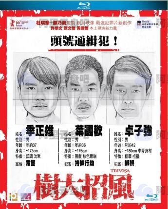 树大招风 蓝光原盘REMUX [国粤双语] [内封简英双字]-梦初有你